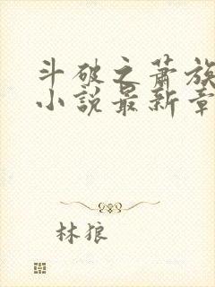 斗破之萧族冰圣小说最新章节