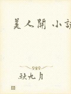 美人关 小说封面