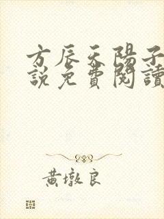 方辰天阳子的小说免费阅读