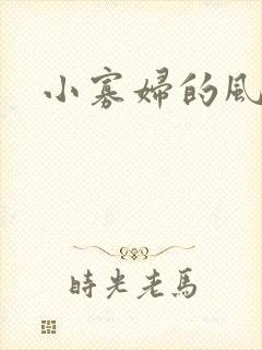 小寡妇的风流