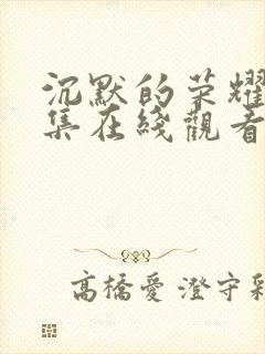 沉默的荣耀34集在线观看