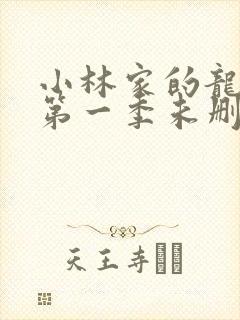 小林家的龙女仆第一季未删减