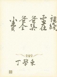 小爸爸电视剧免费全集在线观看