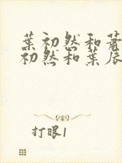 叶初然和萧辰萧初然和叶辰的小说