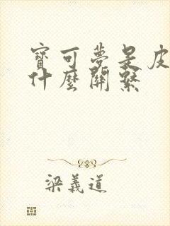 宝可梦是皮卡丘什么关系