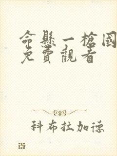 命悬一枪国语版免费观看封面