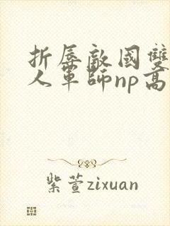 折辱敌国双性美人军师np高h