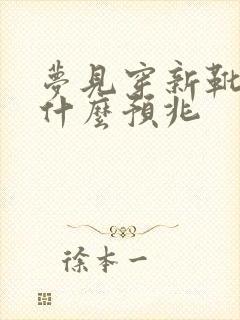 梦见穿新靴子是什么预兆