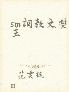 sm调教文双男主封面