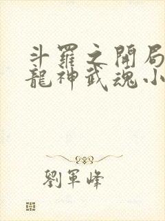 斗罗之开局签到龙神武魂小说完整版封面