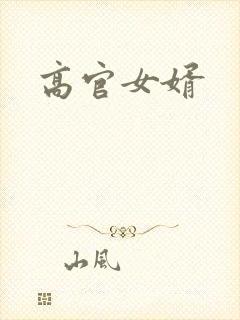 高官女婿封面