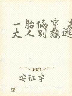 一胎俩宝 老婆大人别想逃