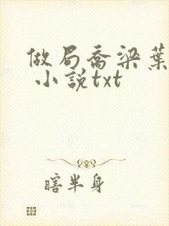 做局乔梁叶心仪 小说txt