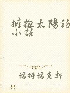 拥抱太阳的月亮小说
