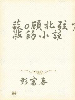 苏o顾北弦完结版的小说