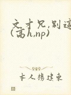 文才兄,别这样(高h,np)