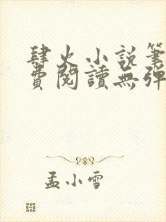 肆火小说笔趣免费阅读无弹窗