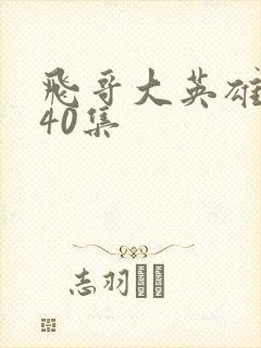 飞哥大英雄全集40集