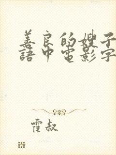 善良的嫂子2韩语中电影字