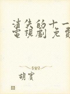 消失的十一层 电视剧 免费