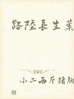 路陆长生叶秋白封面