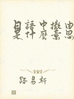 日语中撒由那拉是什么意思