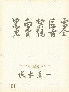 黑白禁区电视剧免费观看全集高清