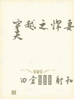 穿越之悍妻共三夫