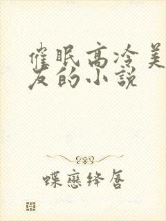 催眠高冷美人室友的小说封面