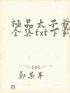 极品太子爷下载全集txt下载