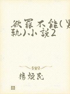 欲罢不能(男出轨)小说2