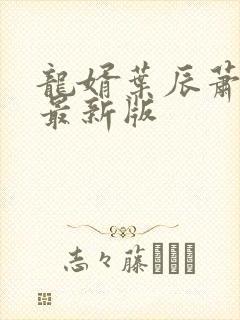 龙婿叶辰萧初然最新版