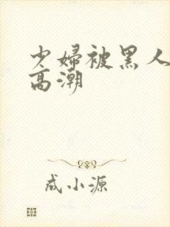 少妇被黑人肉到高潮