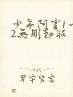 少年阿宾1～72无删节版封面