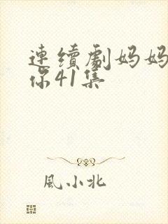 连续剧妈妈在等你41集封面