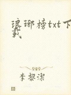 琅琊榜txt下载
