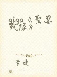 giga《圣忍战队》