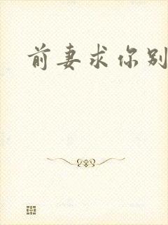 前妻求你别改嫁