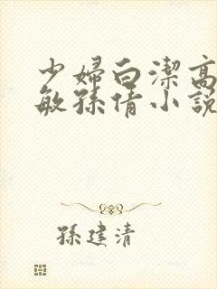少妇白洁高义张敏孙倩小说