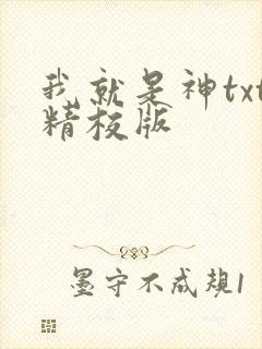 我就是神txt精校版
