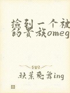 捡到一个被抹布的贵族omega