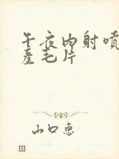 午夜内射喷水国产毛片