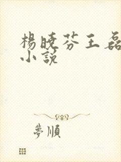 杨晓芬王磊言情小说