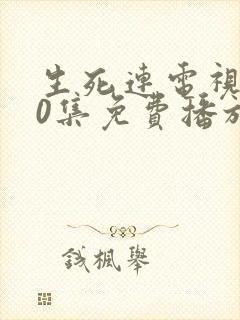 生死连电视剧40集免费播放