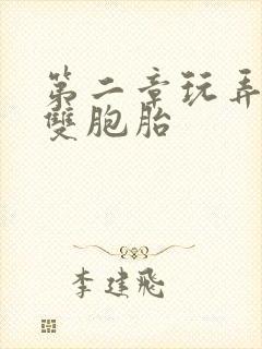 第二章玩弄少妇双胞胎