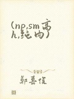 (np,sm高h,纯肉)