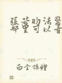 张若昀法医秦明哪里可以看