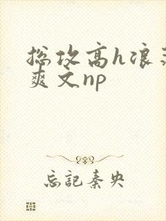 总攻高h浪荡肉爽文np