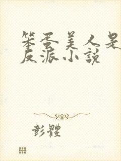 笨蛋美人是恶毒反派小说封面