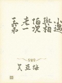 王老伯与小婷的第一次相遇原著小说封面